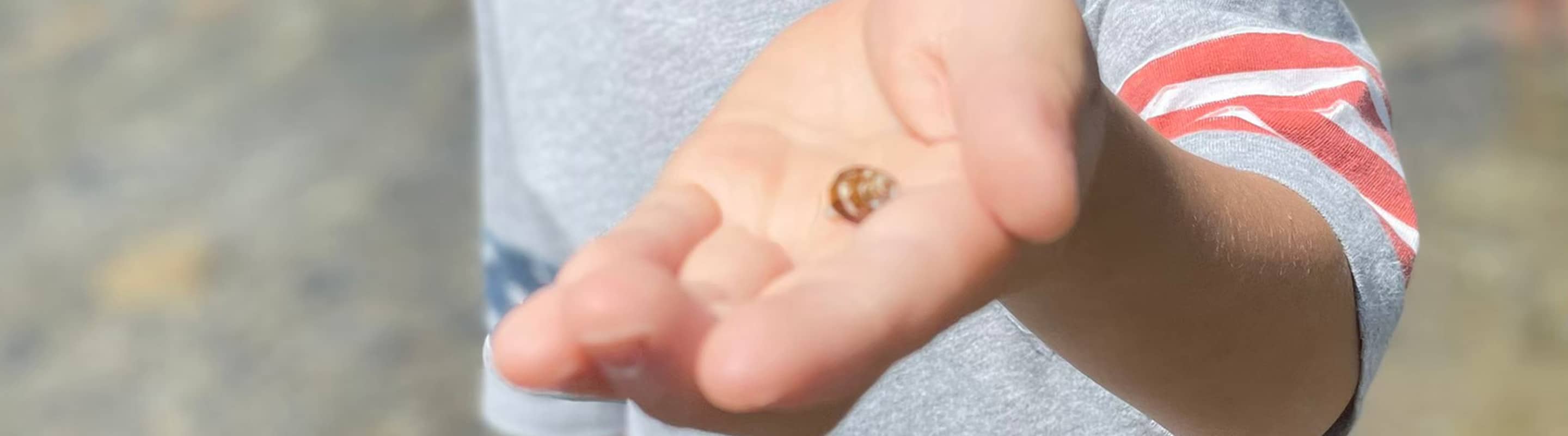 保育所等訪問支援